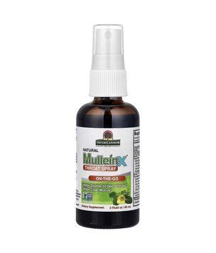 Спрей для горла Natural Mullein-X&reg;, Nature's Answer, 60 мл NTA-26255 фото