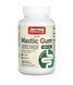 Мастиковая смола 1000 мг Jarrow Formulas Vegan Mastic Gum, 120 капсул JRW-23014 фото 1
