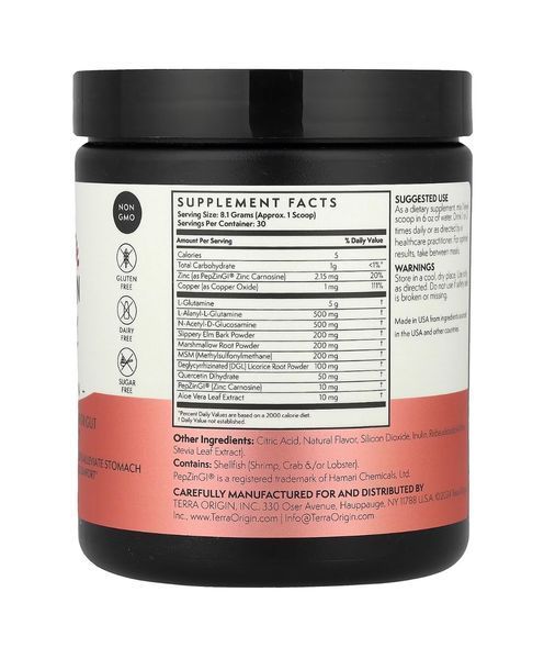 Комплекс для підтримки здоров'я кишечника, Healthy Gut Terra Origin, кавун, 243 г TEO-00767 фото