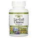 Natural Factors, Liv-Gall Cleanse, средство для очищения печени и желчного пузыря, 90 капсул NFS-04645 фото 1