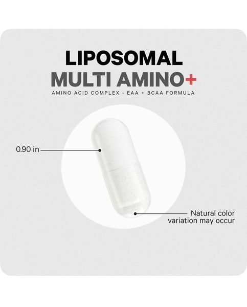 Ліпосомальний комплекс амінокислот EAA та BCAA Codeage Liposomal Multi Amino+ Sport, 240 рослинних капсул AGE-33387 фото