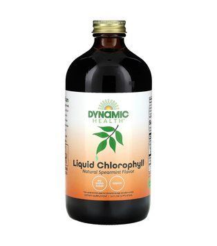 Жидкий хлорофилл 100 мг, Dynamic Health, натуральная мята, 473 мл DNH-10158 фото