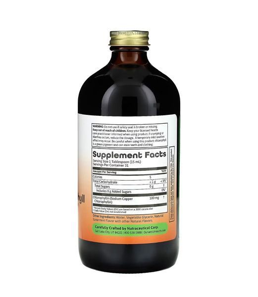 Рідкий хлорофіл 100 мг, Dynamic Health, натуральна м'ята, 473 мл DNH-10158 фото
